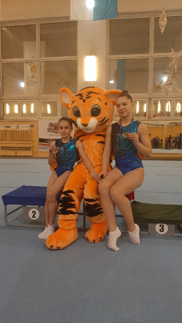 Спортивная гимнастика